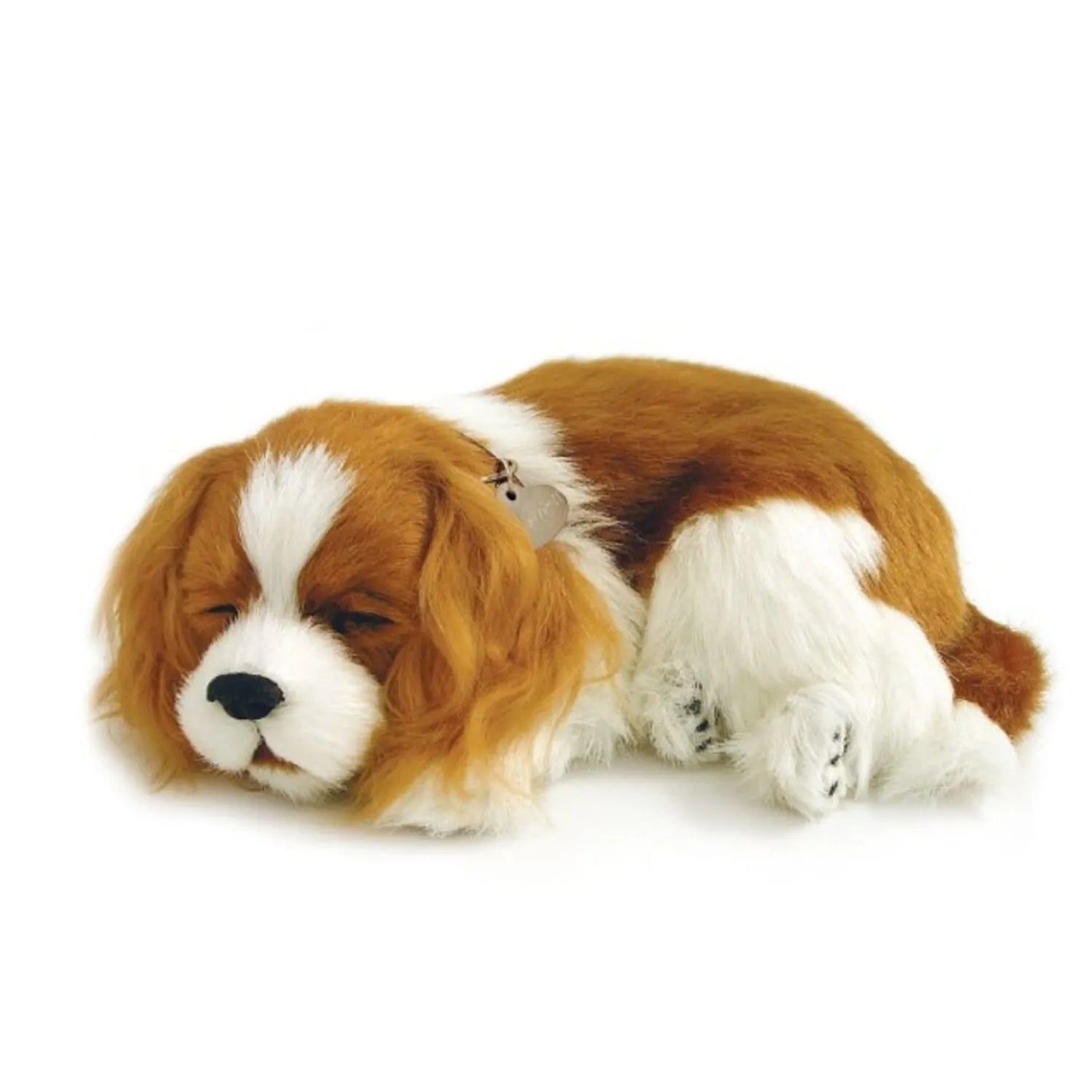 Perro de peluche que respira Cavalier King Charles de 25 CM 